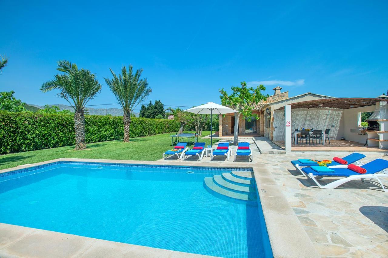 Owl Divina - Luxury Retreat